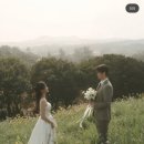 W3. [파워J 결혼준비] 거의 100곳 비교후 엄선한 나의 제주스냅(아르누아x하이재이) + 숙소 '여누스테이...