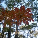 장선리 마을회관 이미지