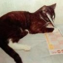 신문박물관 이미지