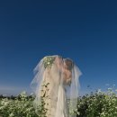 리틀포레스트스냅
