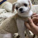 미완성식탁 이미지