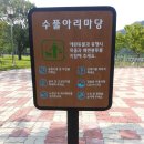 추월산 해피랜드 이미지