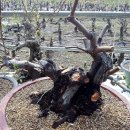 한솔농원 이미지