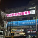 진접애견미용
