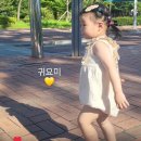 레블라스튜디오 | 24ss 돌아기옷 후기(85cm12kg)
