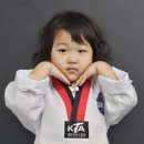 국가대표 무혼 태권도장 이미지