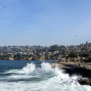 연수태평양약국 | 미국 서부 샌디에고 당일치기 일정 (라호야코브, 필스바베큐, 발보아파크, 시포트 빌리지, 미국 마트...