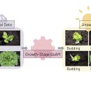 정규화 농장 | [Coursera] AI Literacy(인공지능) - 실용 머신러닝 소개 3주차