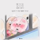 (주)키드니라이프 | 폭식녀의 칼로리 컷팅제 추천 " 다이톡스 올리스정" 후기
