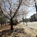 월드컵경기장 주변 뒷길 이미지