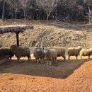 늘솔길공원1 이미지