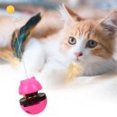 고양이 - 태백시 황지로 137 | 고양이