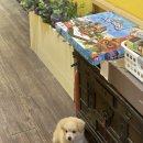 가평 녹수계곡 불멍 펜션 이미지