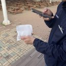 임실치즈골 은주네농장 | 난 잘하는게 너무 많은데 돈벌이 되는 건 없네..염병..