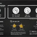 데블다이스 이미지