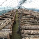 윤승호농장 이미지