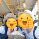 서부조합카 공업사 | [미국] 하와이 카우아이 여행 최적동선, 맛집, 숙소 총정리 ｜렌터카 후기