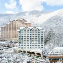 소노벨비발디파크 이미지