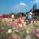 꽃길따라 이미지