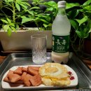 서울탁주태능연합제조 | [서울]서울탁주 : 장수 생막걸리 후기