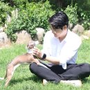 놀로동물행동클리닉 이미지