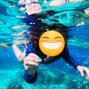 조비길 | 보홀 JNP 다이빙센터 돌조비치 스노쿨링 후기(카카오톡) 예약가능