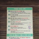 전원일기마을 오토 캠핑장 | 경주 전원일기 오토캠핑장 2캠핑장 21번 이용후기 (아이랑 함께한 가을 캠핑)