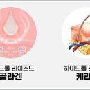 샤이니 헤어 네이버블로그