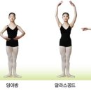 허브빌리