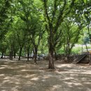 얼음골막걸리 이미지