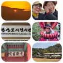 생태원길(배롱나무길) | 광주역사민속박물관회 충남서천문화답사