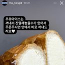 더홍디