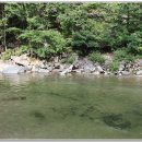 주은 자연휴양림 이미지