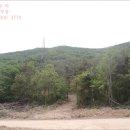 구평동-19 이미지