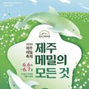 6월 제주도 아이와 가볼만한곳 추천 서귀포 안덕면 2026 제주 메밀축제 총정리