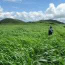 무념무상 이미지