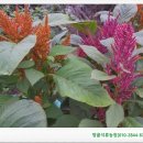 땅끝농장식품