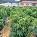 농업기술센터 흥해청사 이미지