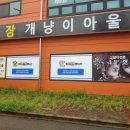 개냥이아울렛 이미지