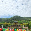 남부소방서 | 부산 광안리 금련산 등산코스 금련사 전망대 수련원 초보산행