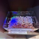 고덕코인노래연습장 이미지