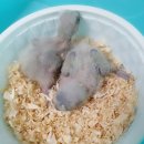 이소농장 이미지