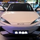 BYD SEALION 7 실내 컬러안전벨트 레드 시공[대구수입차컬러안전벨트]8012 이미지