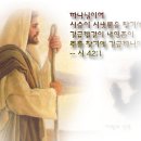 믿음을 어떻게 점검해야 할까요? 이미지
