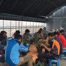 고흥군농업기술센터 이미지