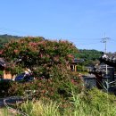 남산1길 40(용산동) | 경주 서출지와 무량사