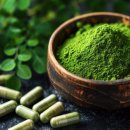 moringa 모링가 기적의 나무 이미지