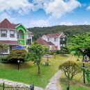 안면애견펜션프리독 이미지