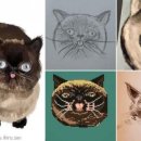 냥스타그램 이미지