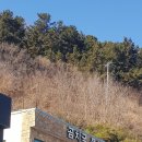 곰치집 이미지